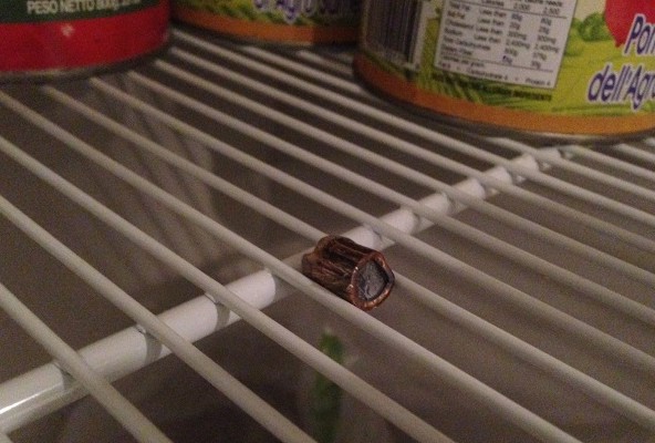 Arien Holden sent Decaturish this photo of a bullet he found in his pantry in his Kirkwood home. 