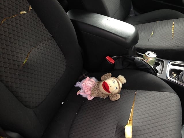 A photo of a child's stuffed toy found in the car of a Medlock Park resident