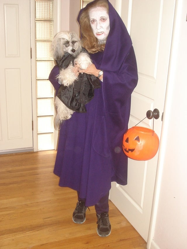 Melissa O'Shields & Bao Bridges (Chinese Crested Powder Puff)  "Count Baocula with his Vampire mom ready to greet trick or treaters in Avondale Estates"