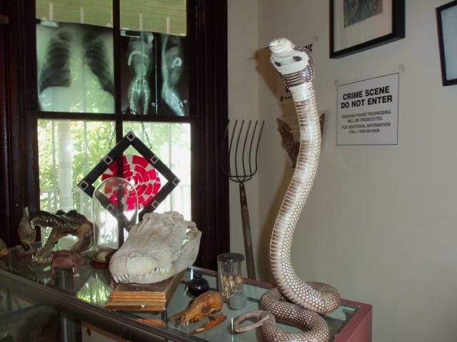 Some of the curiosities you'll find in The Odd's End, located in Avondale Estates, Ga. Photo By Dena Mellick,