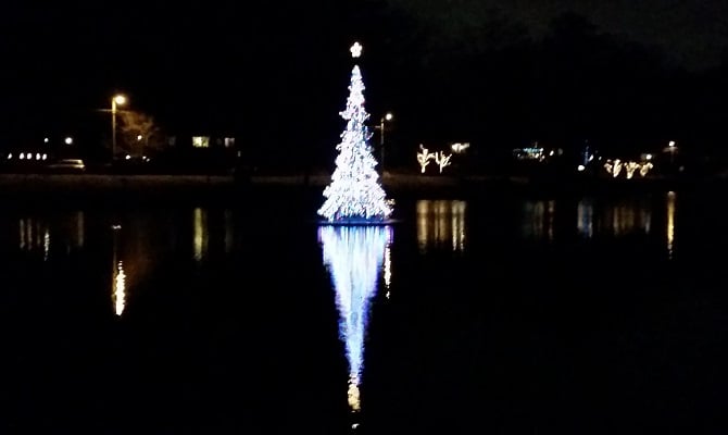 The Tree on Lake Avondale. 