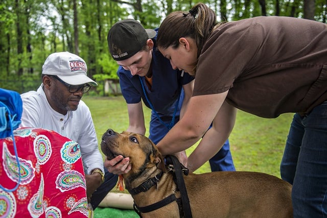 Elgin Ford (left) and Miles Barber hold Ford's bull terrier Sampson steady as Dr. Jaime Feroli gives him his vaccinations. Photo by Jonathan Phillips