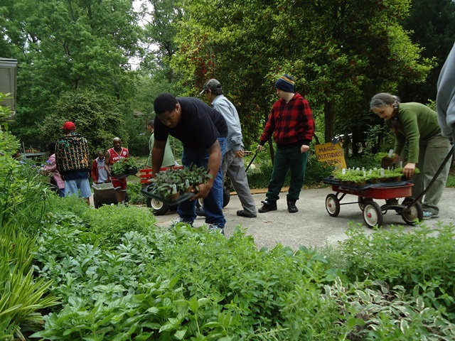 A photo from the Wylde Center's annual Spring plant sale, provided by the Wylde Center