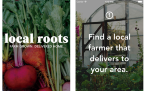 Local Roots app