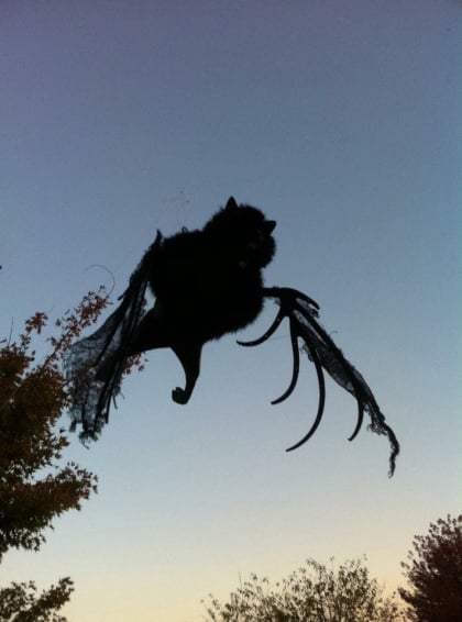 Jones-Mitchell says another inexpensive decoration is to hang bats and ghosts on fishing line. They swing in the wind, creating a spooky effect. Photo provided to Decaturish by Jones-Mitchell