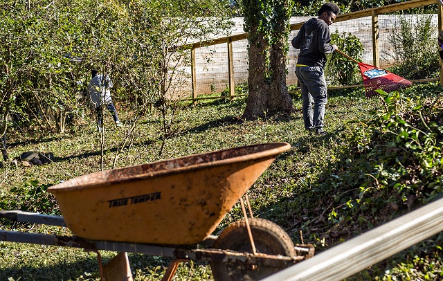 Jason McGill rakes up debris at one of the 33 houses in Decatur during the 14th annual Martin Luther King Jr. Service Project on Sunday. Photo: Jonathan Phillips
