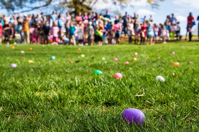 Easter eggs await the start of the hunt.