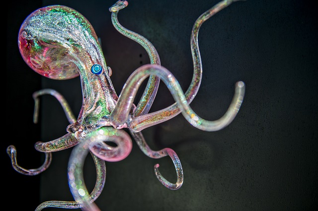 A glass octopus sits on display during the Decatur Arts Festival on Saturday. Photo: Jonathan Phillips